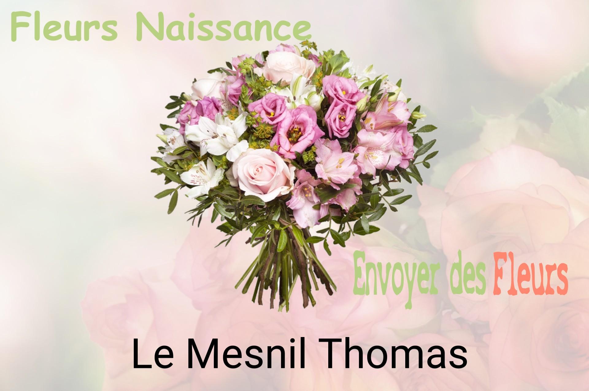 Bouquet de fleurs de naissance livré à Le Mesnil-Thomas